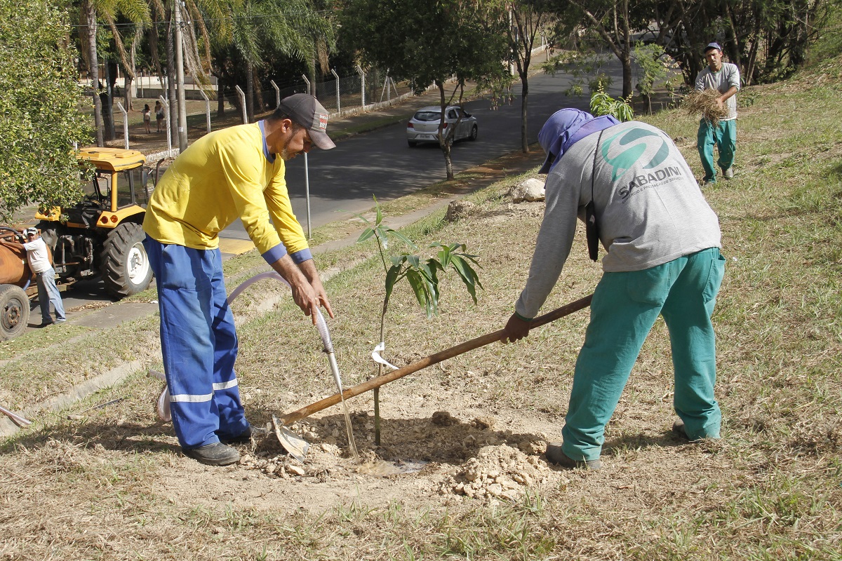 Meio Ambiente de Jaguariúna inicia plantio de mudas do Projeto Pomar Urbano