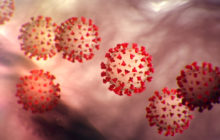 Saiba mais sobre o coronavírus e a pandemia que atinge o mundo